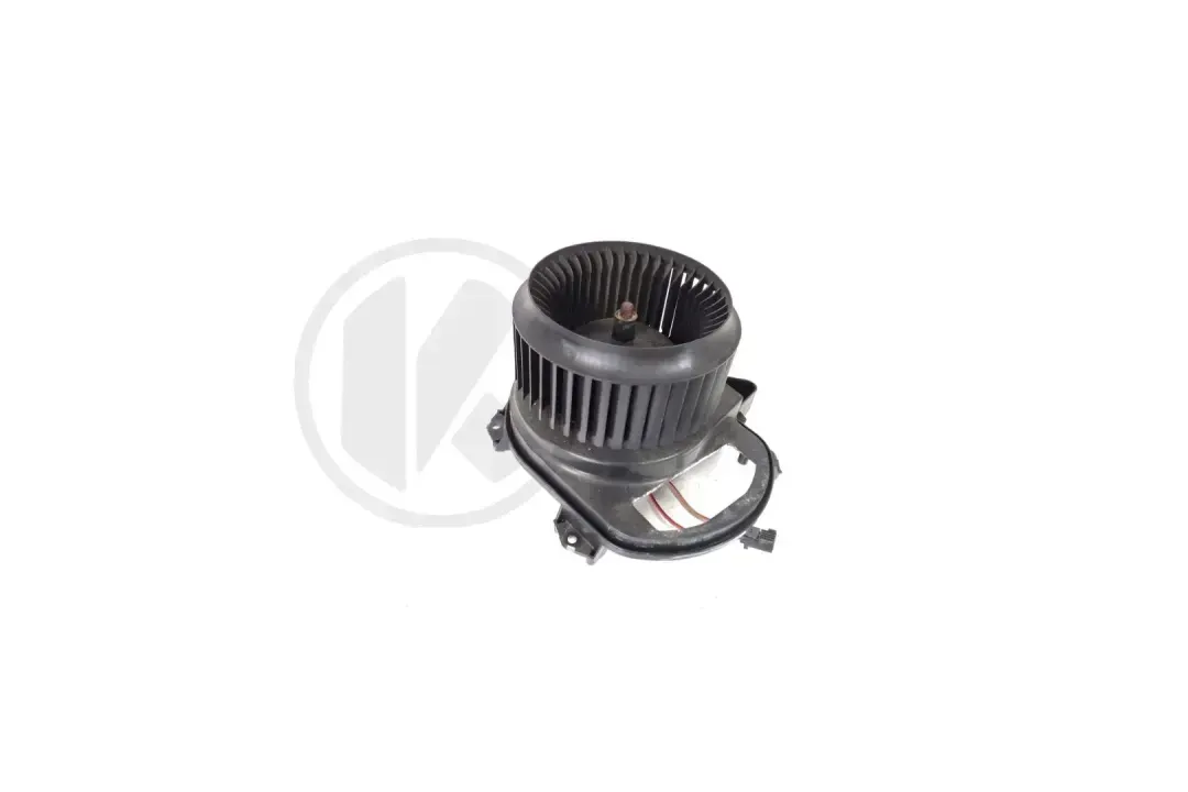 FAN MOTOR